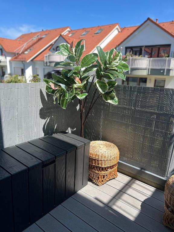 Balkón nebo terasa v ubytování Apartment Studio Green line