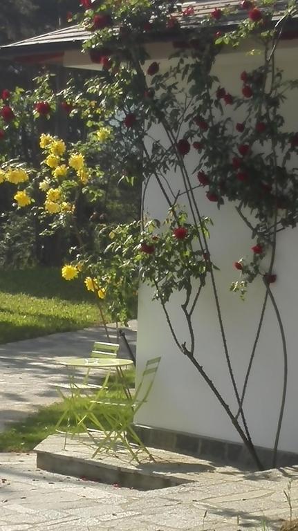 Vonkajšia záhrada v ubytovaní Caterina.C B&B