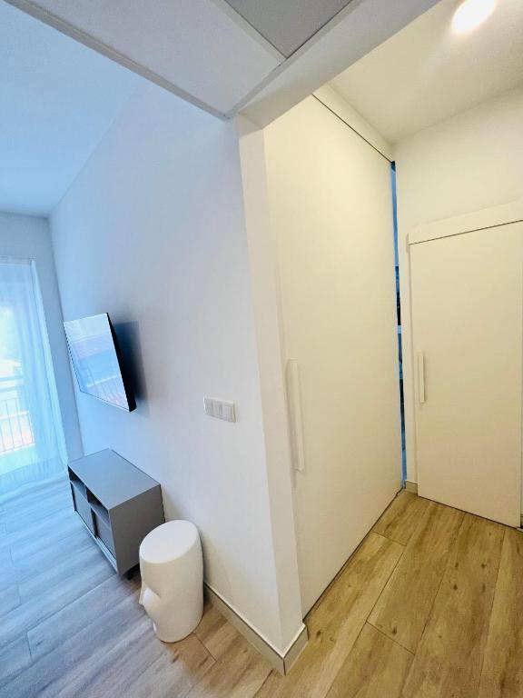 Una televisión o centro de entretenimiento en Apartamentos Hotel Puente de Hierro