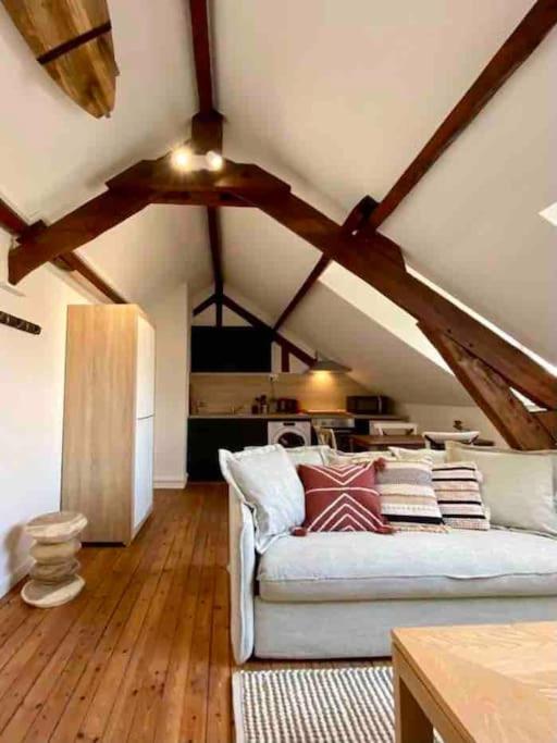 - un salon mansardé avec un canapé blanc dans l'établissement Le Bali Appart' T1 au centre du Mans, au Mans