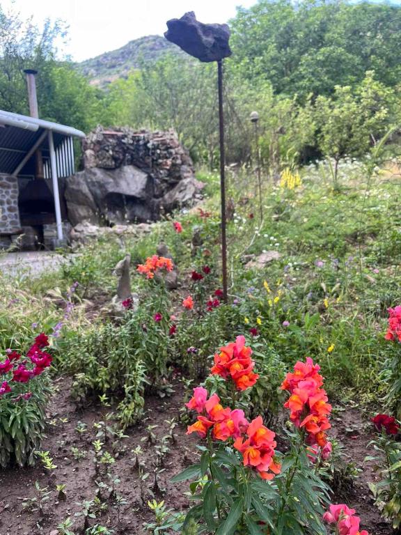 Zahrada ubytování Hotel Halidzor