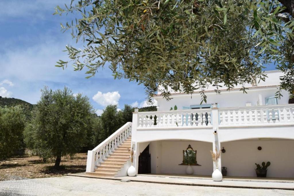 una casa blanca con escaleras y un árbol en Meridiana case al mare, en Mattinata