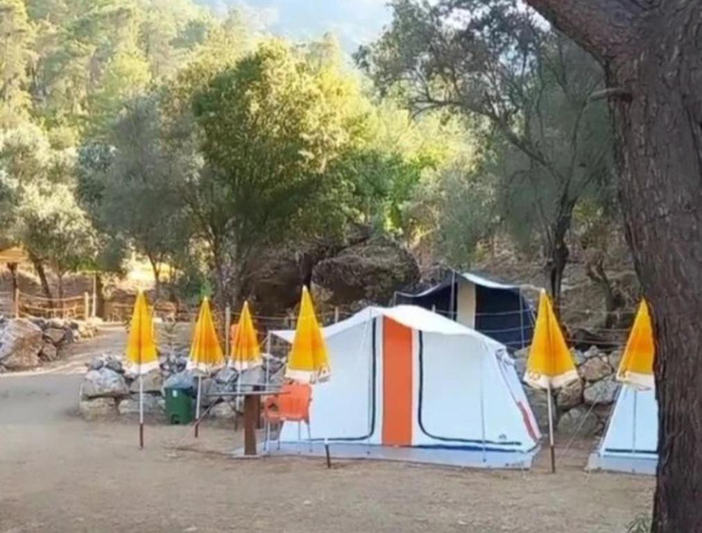 un grupo de tiendas de campaña de color amarillo y blanco en Köyceğiz Sultaniye Camping, en Muğla