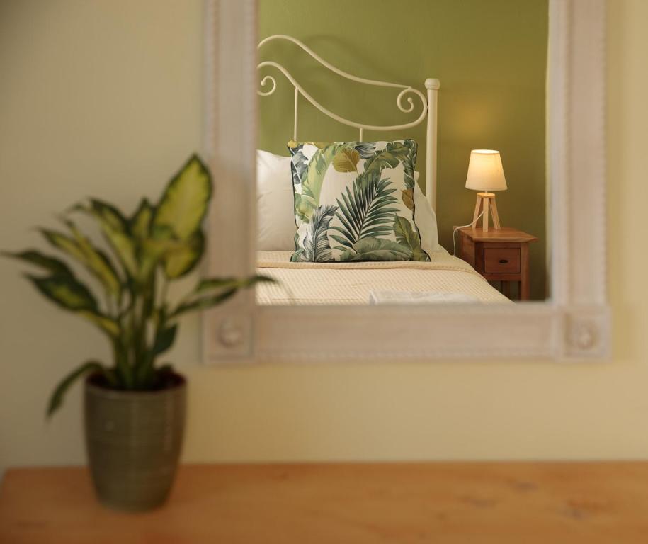 納克索喬拉的住宿－Green Loft room in Naxos Chora，坐在镜子前桌子上的盆栽植物