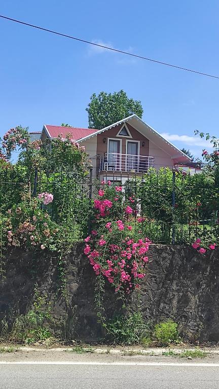 een huis met roze bloemen op een stenen muur bij Aydınlar villa in Bostancı