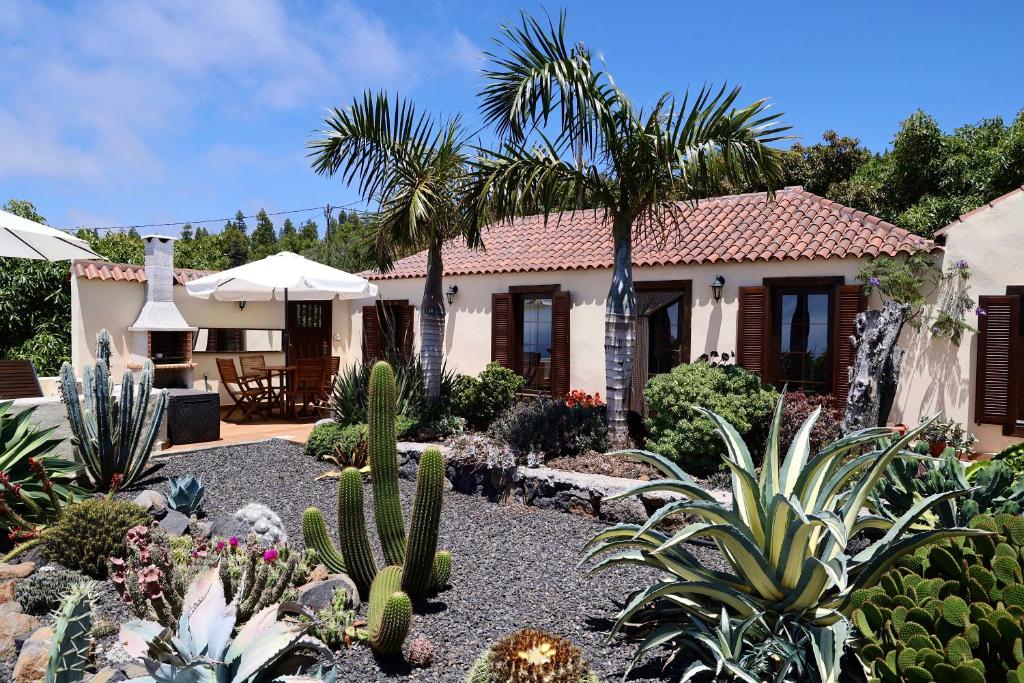 プンタゴルダにあるCasa Demetria La Palmaの駿と植物が植えられた庭