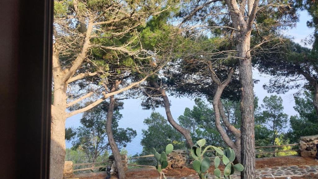 Giardino di Sotto la Torre e sopra il Porticciolo