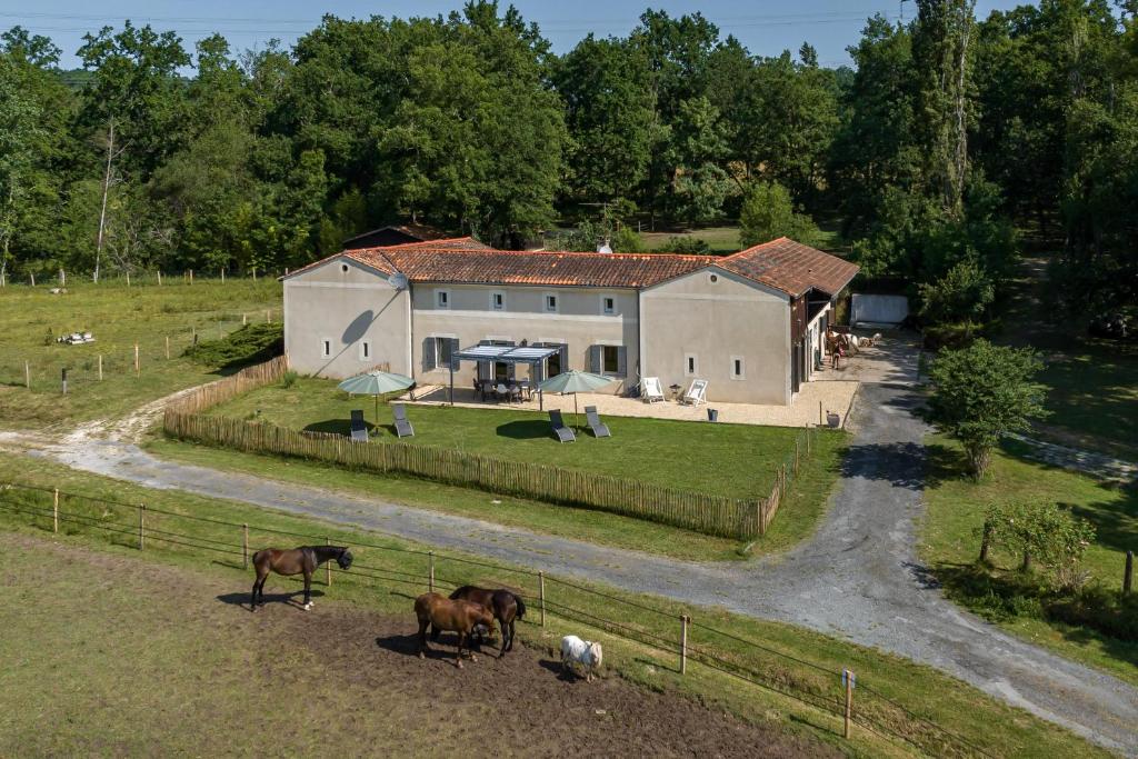 Montazeau的住宿－Domaine du Pré de l'étang，空中观赏农场和一群牛