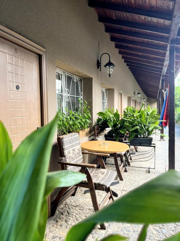 a patio with a table and chairs and plants at Lotus Family Hotel - Free Parking in Sunny Beach