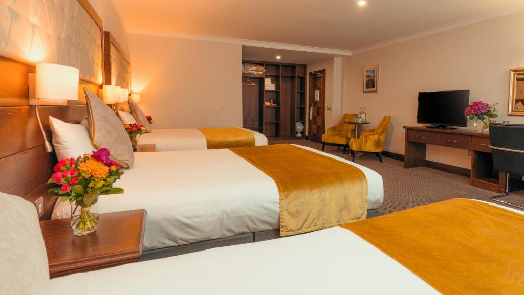 TV a/nebo společenská místnost v ubytování Cavan Crystal Hotel