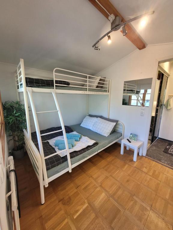 a bedroom with two bunk beds and a wooden floor at Stuga i Borgholms villa in Borgholm