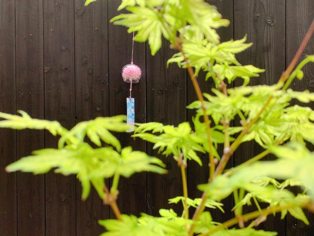 京都桃夭庵 touyouan momo house kujo 一棟貸切的挂在树上的粉红色小球