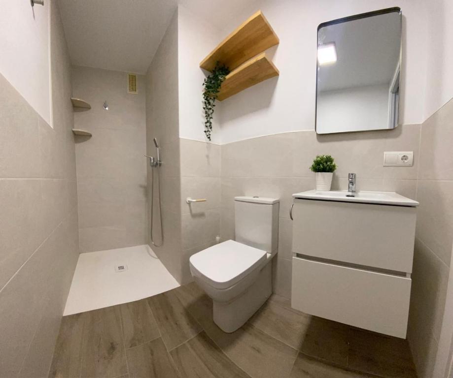 Apartamento Playa Oliva Deluxe في أوليفا: حمام مع مرحاض ومغسلة ومرآة