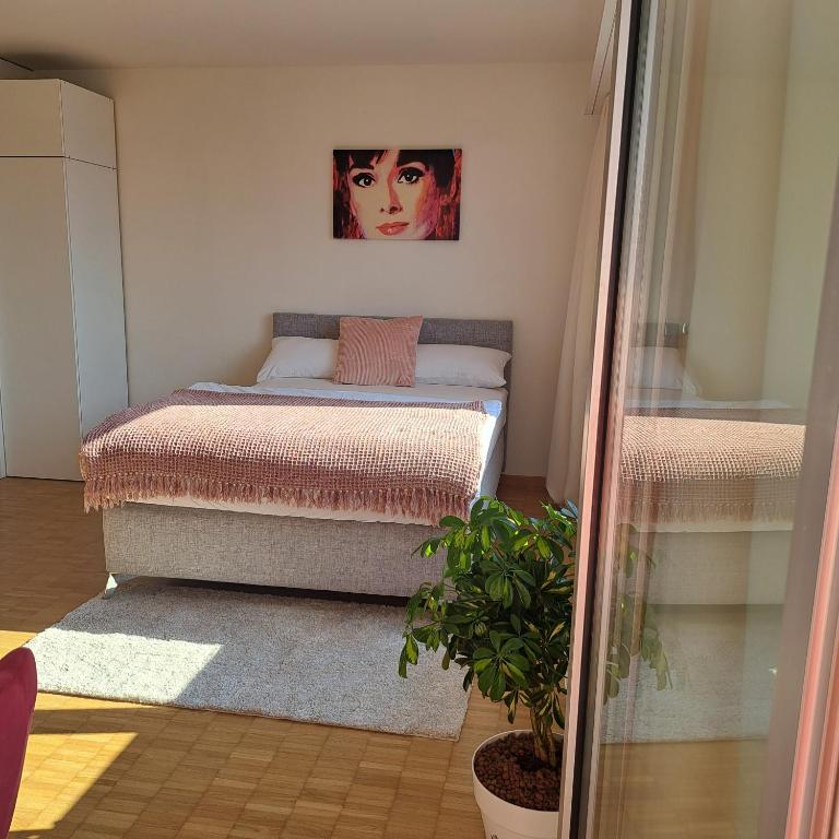 Postel nebo postele na pokoji v ubytování Sonniges 1-Zimmerappartement mit Blick über Kreuzlingen