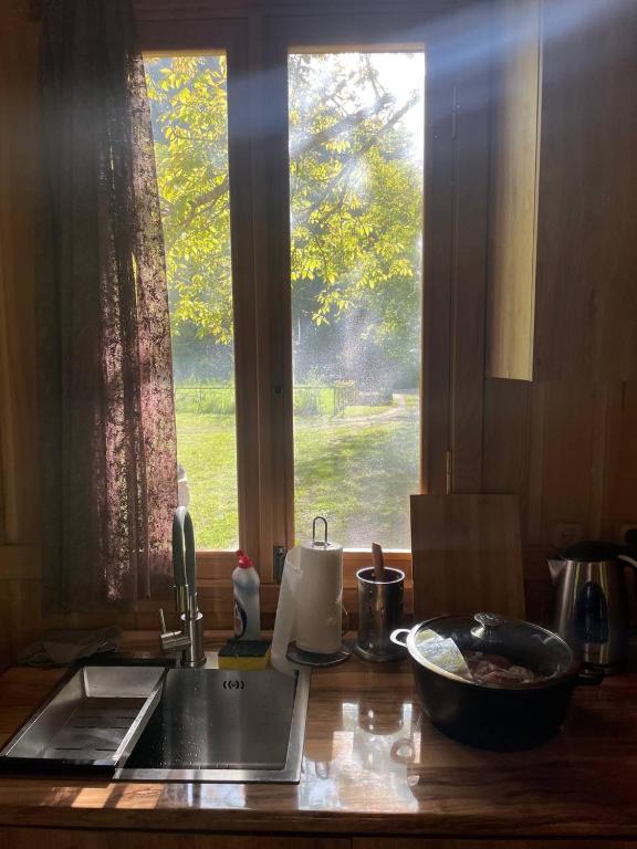 Fotografie z fotogalerie ubytování inSxvava v destinaci Ambrolauri