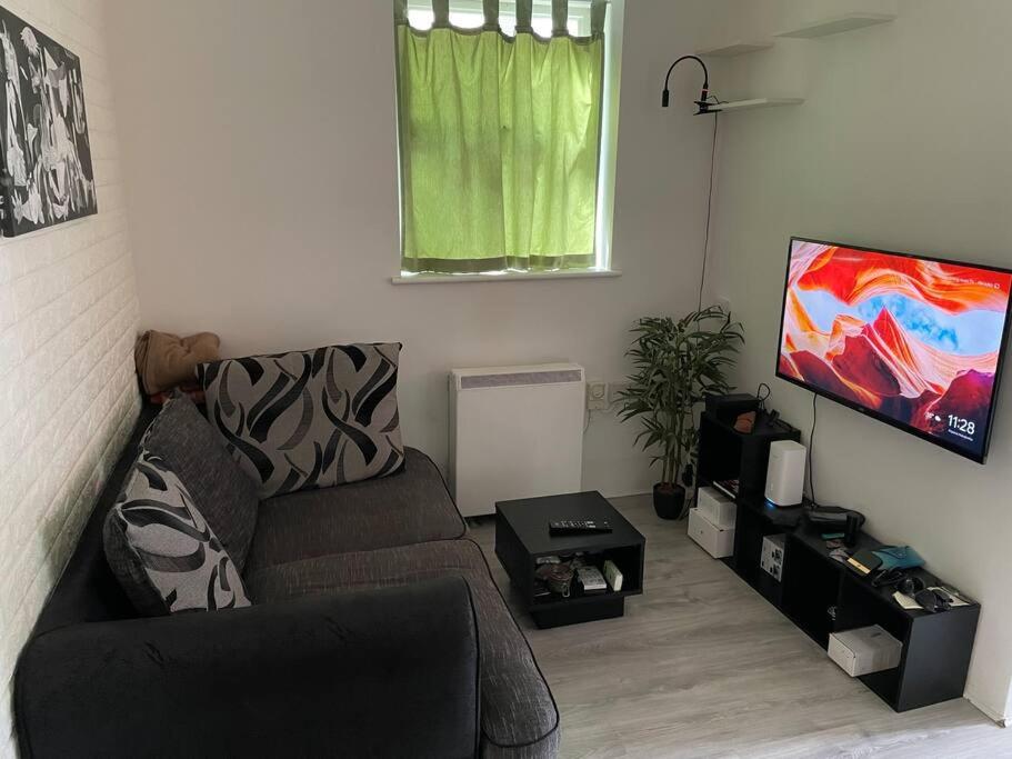 sala de estar con sofá y TV de pantalla plana en Entire Private House in the Heart of London en Londres
