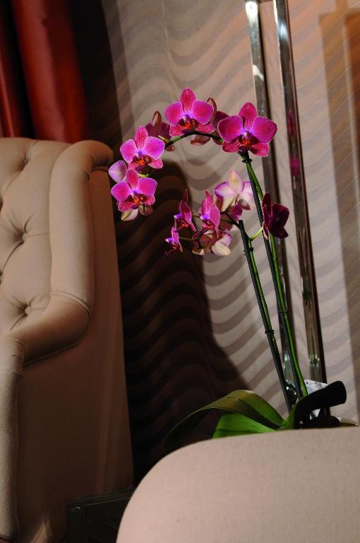 Posezení v ubytování Best Western Plus Hotel StadtPalais