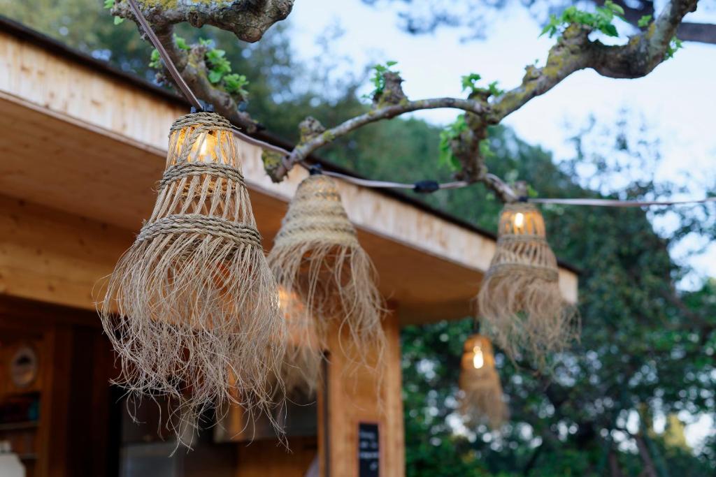 a group of bird nests hanging from a tree at La Ferme D'Augustin in Saint-Tropez
