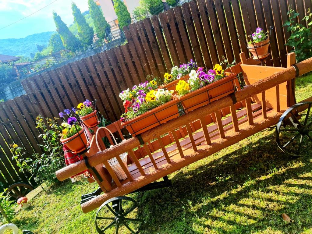 Zahrada ubytování Casa Ostrov