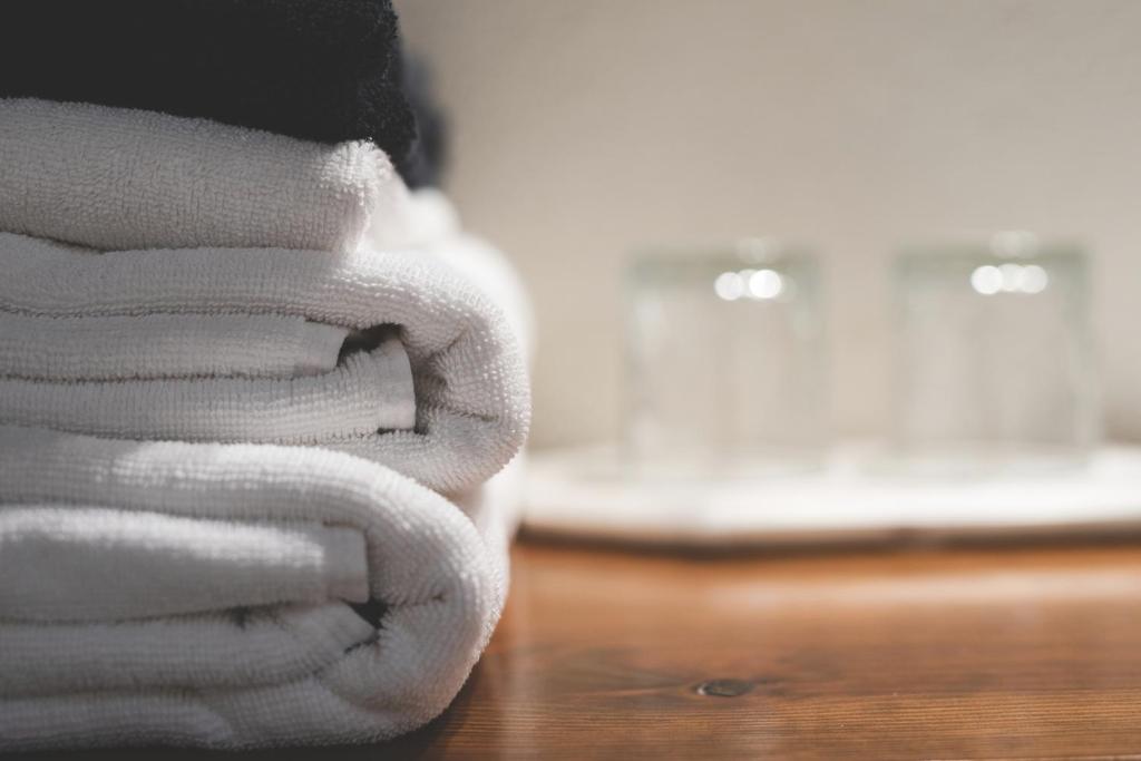 Postel nebo postele na pokoji v ubytování Tetxe B&B Roncal