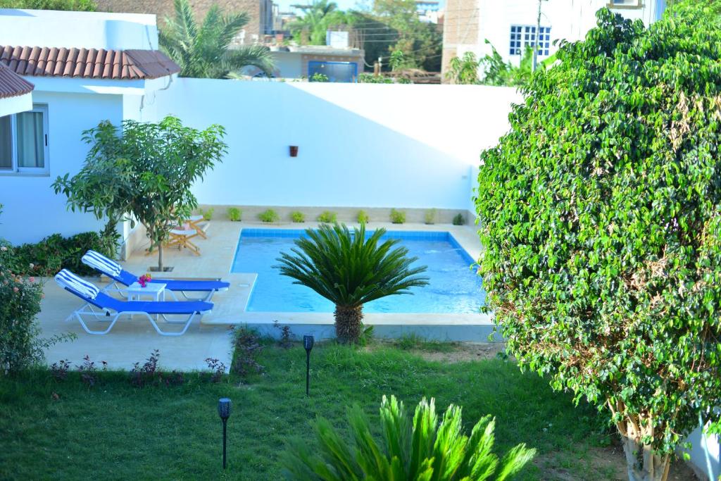Luxor Rose Villa في الأقصر: حمام سباحة في ساحة مع طاولة زرقاء بجوار منزل