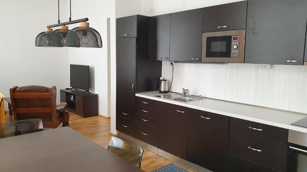 Kuchyň nebo kuchyňský kout v ubytování Apartment Karlovy Vary center - T. G. Masaryka