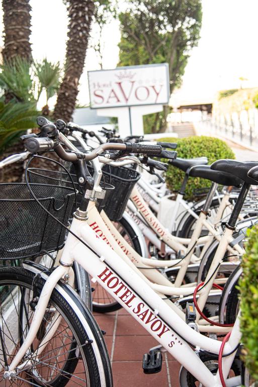 Jízda na kole v ubytování Hotel Savoy nebo okolí