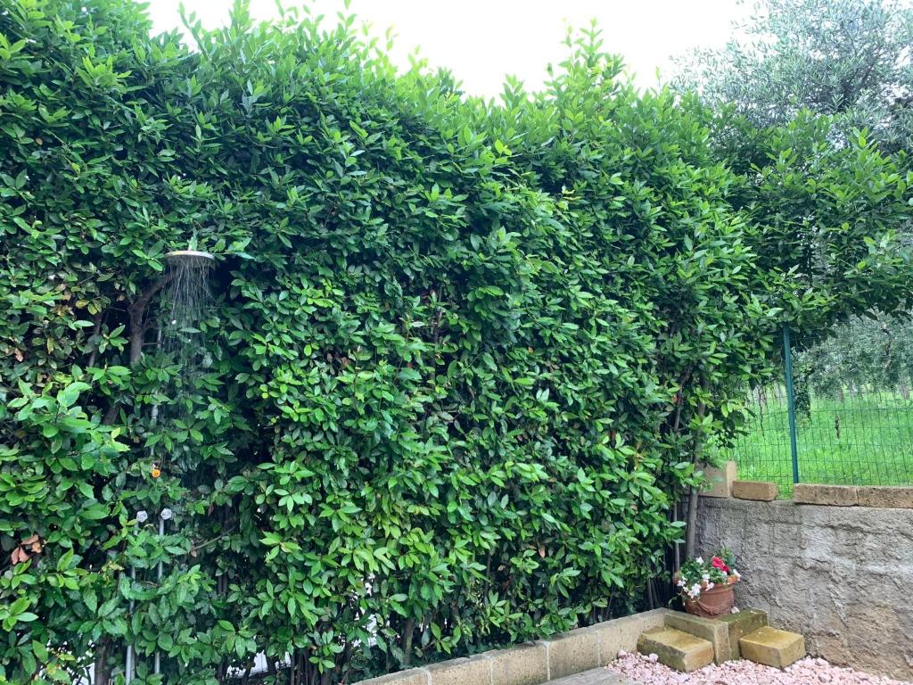 Zahrada ubytování A Casa di Lidia 15 min dal Lago di Garda e Verona Centro Vicinissima Terme Acquardens