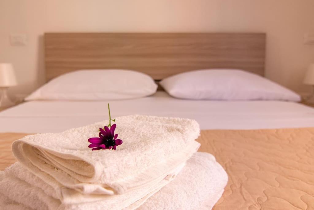 a white towel with a flower on top of a bed at Aela Home in Pisa