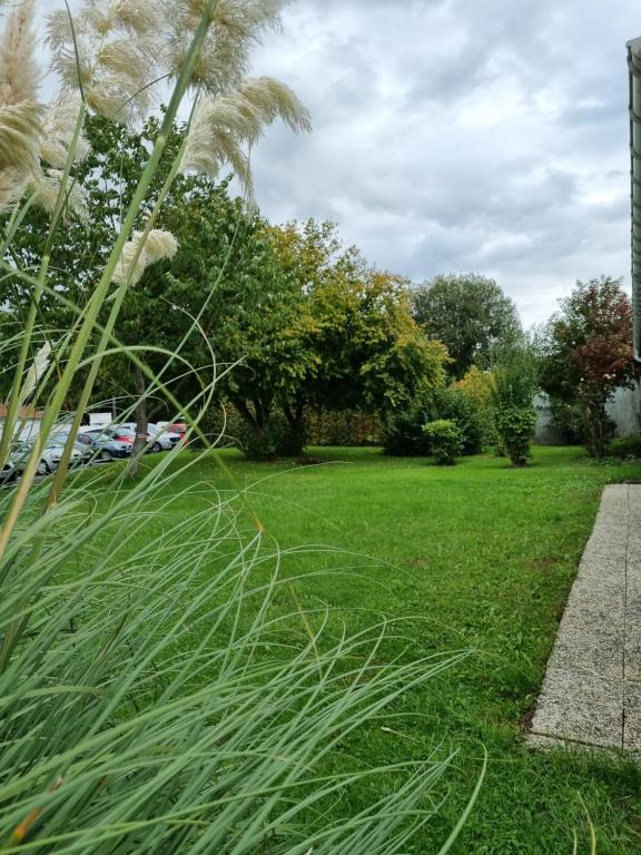 ein Grasfeld mit einer Palme in der Unterkunft Chambre au calme proche de la nature in Auxi-le-Château