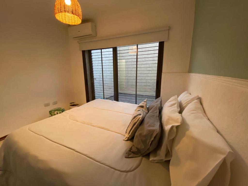 Departamentos René - Appartamento - Piano Terra