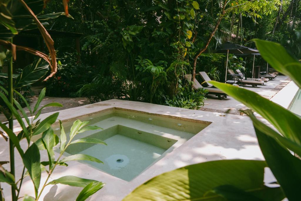 Piedra de Agua Palenque