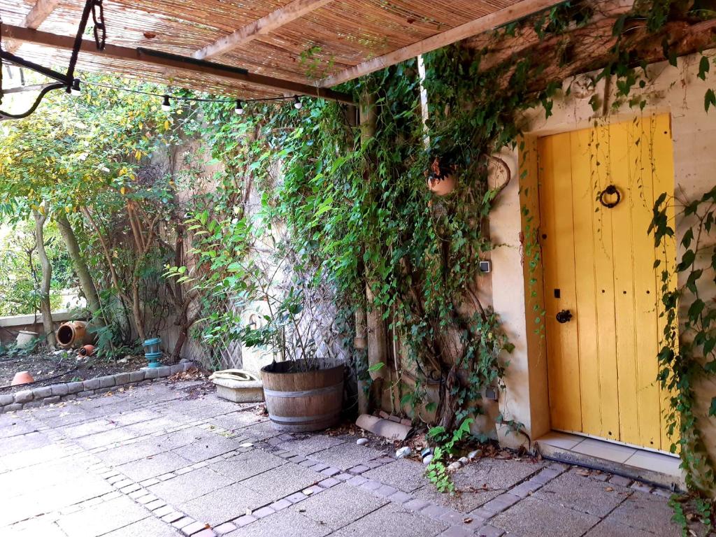 an ivy covered building with a yellow door and a barrel at Magnifique maison de campagne au cœur d&#39;un domaine viticole in Cazouls-lès-Béziers