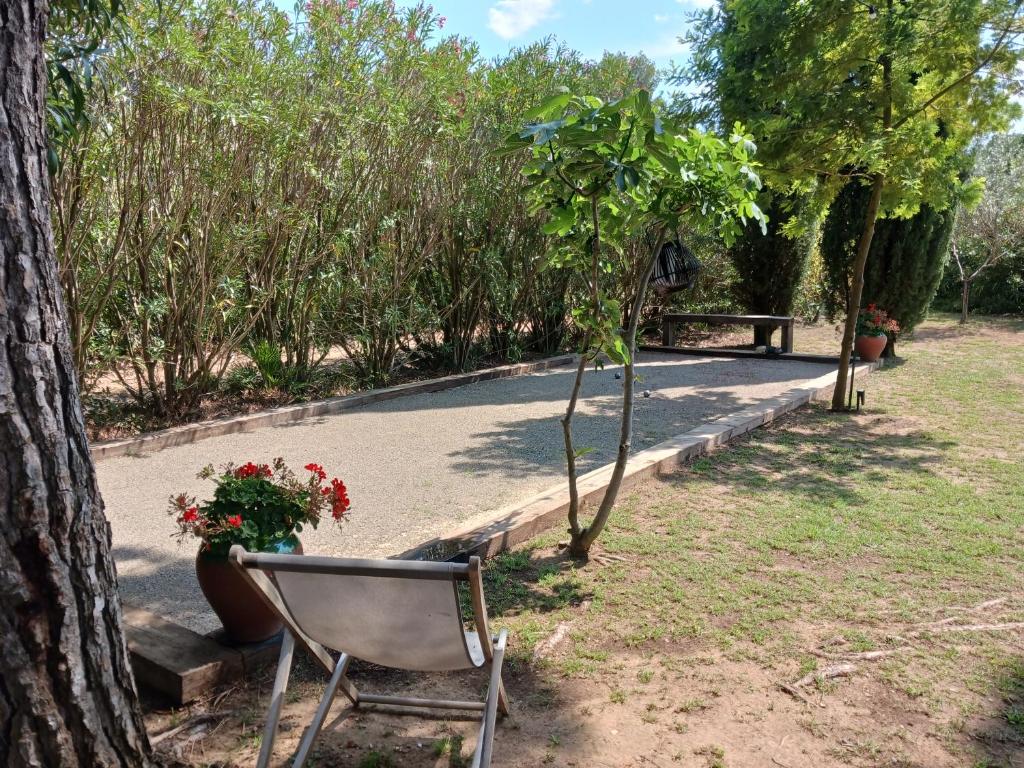 a chair and a tree in a park at Magnifique maison de campagne au cœur d&#39;un domaine viticole in Cazouls-lès-Béziers