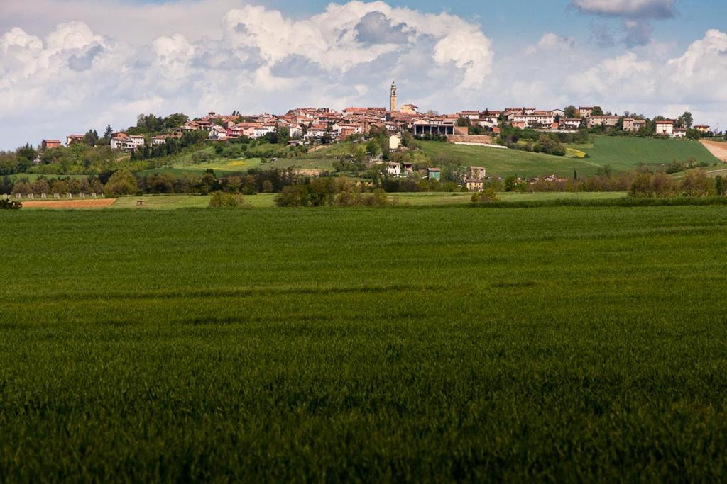 um campo verde com uma cidade no topo de uma colina em B&B La Casetta em Carbonara Scrivia