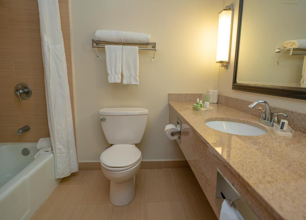 Holiday Inn Mayaguez & Tropical Casino, an IHG Hotel - Suite King De Una Habitación