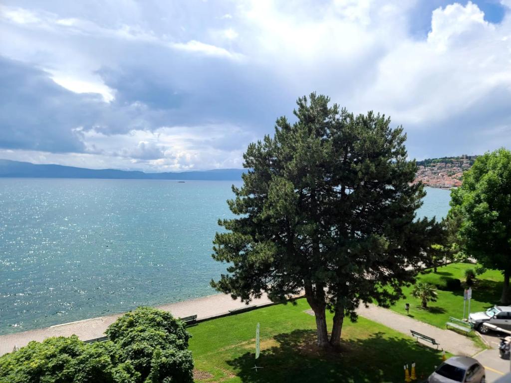 uma árvore num campo ao lado de um corpo de água em Pier 82 Apartments em Ohrid
