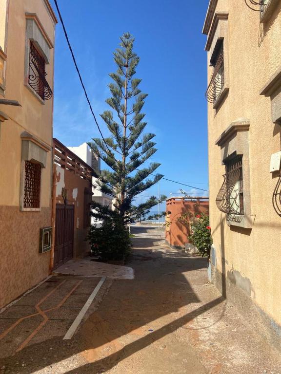 Appartement Aglou plage tourisme