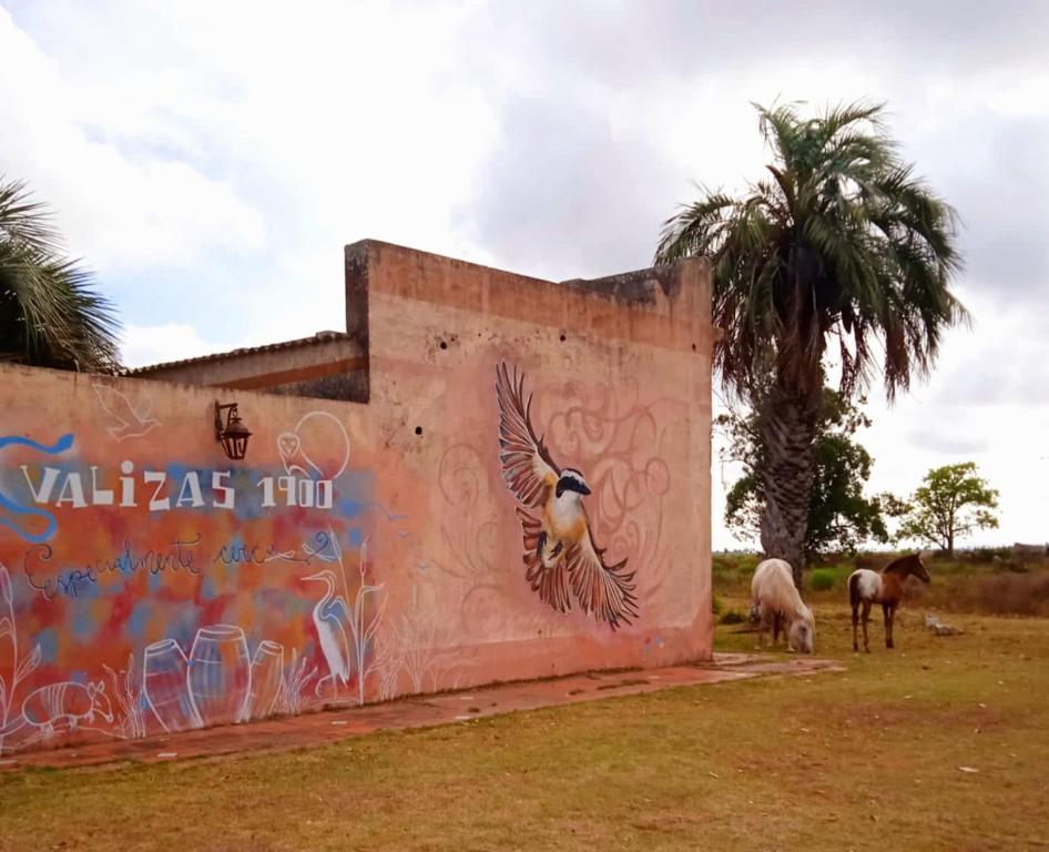 a wall with a painting of a bird and a tree at Valizas 1900 in Barra de Valizas