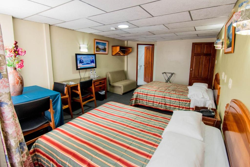 TV a/nebo společenská místnost v ubytování Grand Hotel Loja
