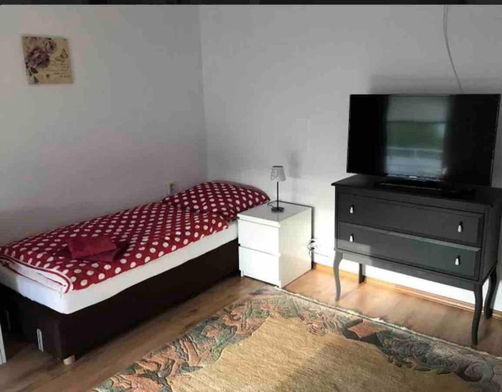 Schlafzimmer mit einem Bett und einem Flachbild-TV in der Unterkunft Ferienwohnung/Monteurwohnung in Salzgitter