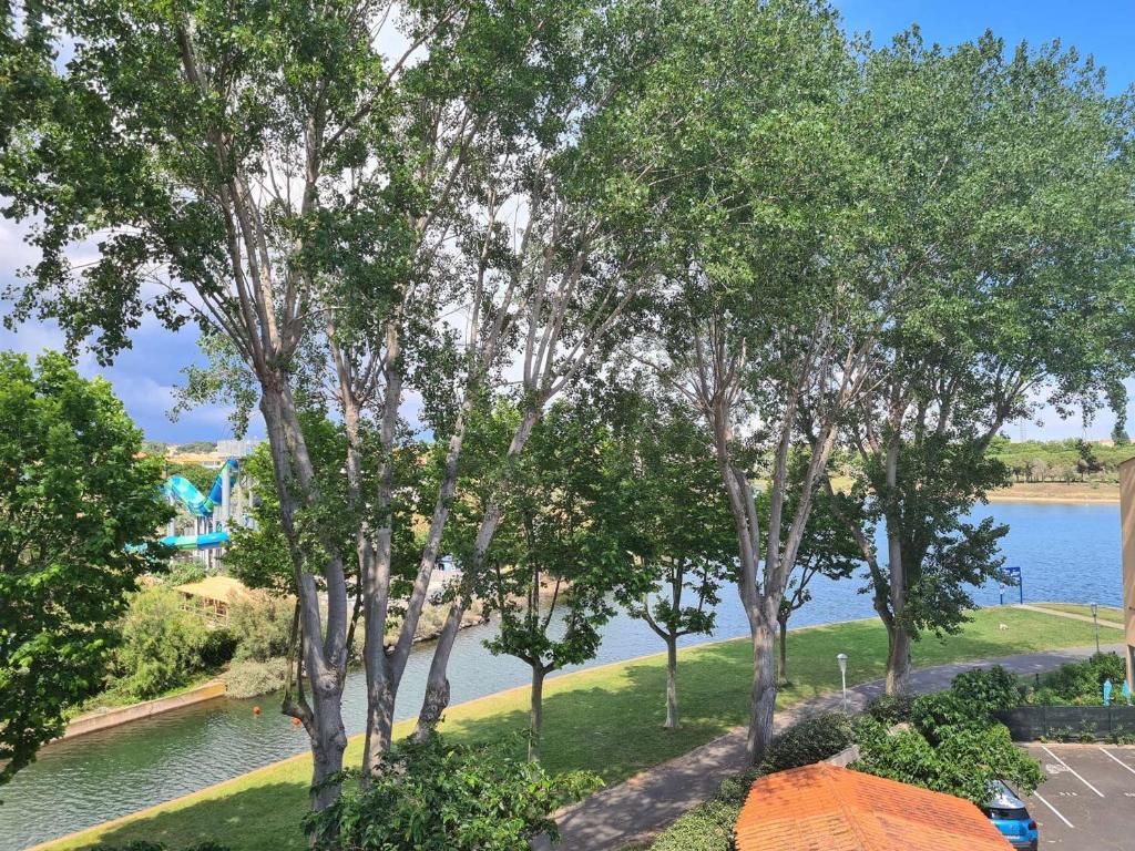 une vue aérienne sur une rivière arborée dans l'établissement Spacieux Studio-Cabine avec Mezzanine, Terrasse et Piscine Commune - Cap d'Agde - FR-1-249-395, au Cap d'Agde