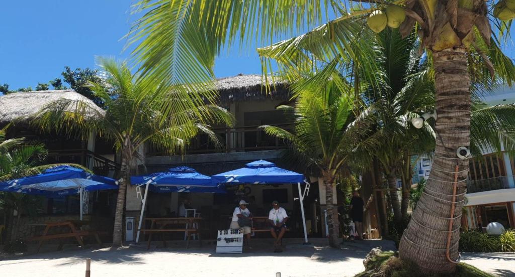 um hotel na praia com palmeiras e guarda-sóis em birdwatchers beachfront hotel panglao em Panglao