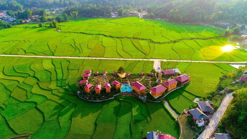 Love hill than Uyên