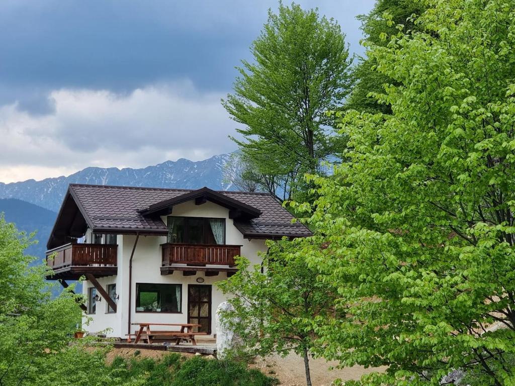 ein Haus mit einem Balkon auf einem Hügel mit Bäumen in der Unterkunft Chalet Betleem in Măgura