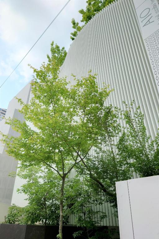 totanuki/hotel azabu ten>