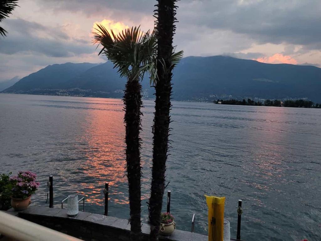 two palm trees in front of a body of water at Casa Conti al Lago in Ronco sopra Ascona