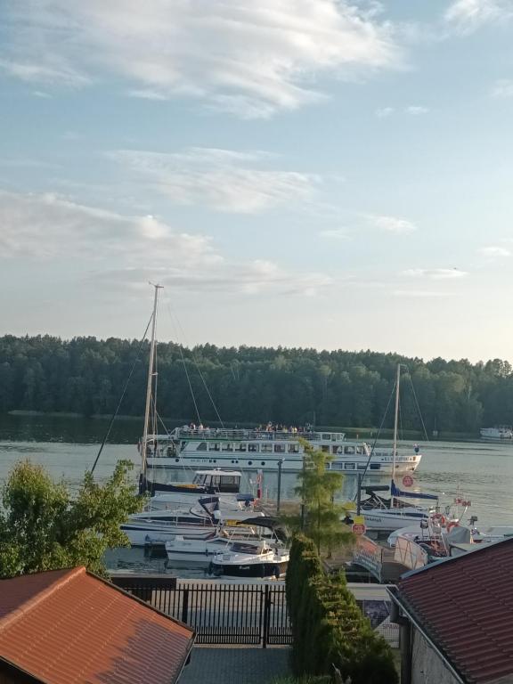 un grupo de barcos están atracados en un puerto en Pokój na jezioro, en Mikołajki