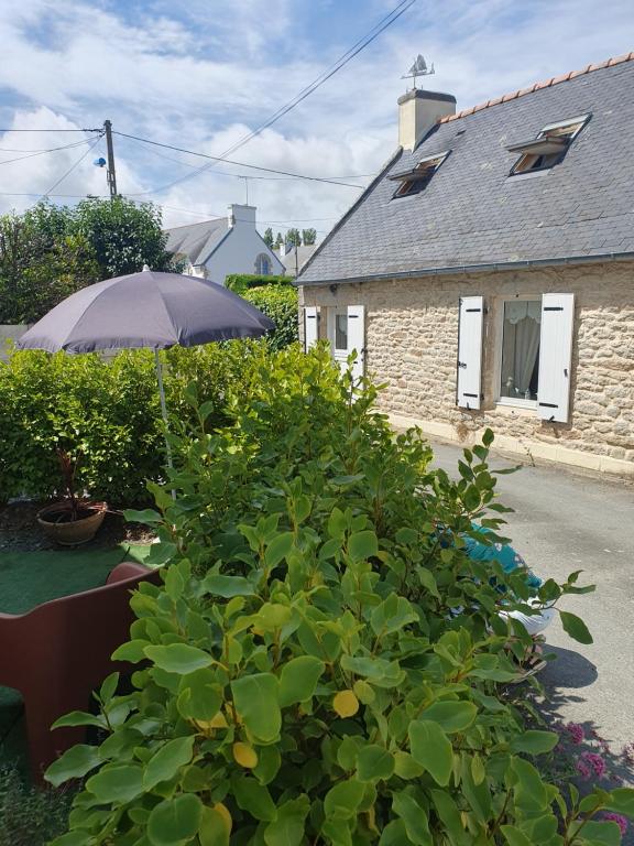 un jardín con sombrilla frente a una casa en penty vero, en Plobannalec-Lesconil