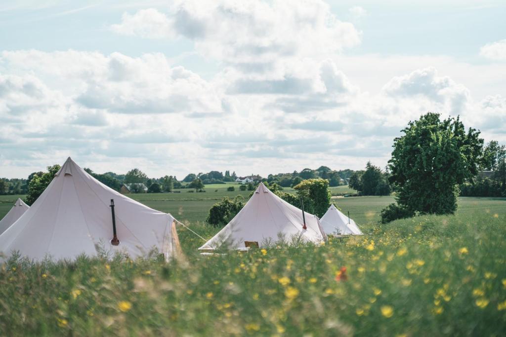 Trois tentes blanches dans un champ d'herbe dans l'établissement Bygagergaard, à Askeby